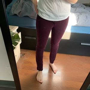 Ann Taylor Burgundy Cords